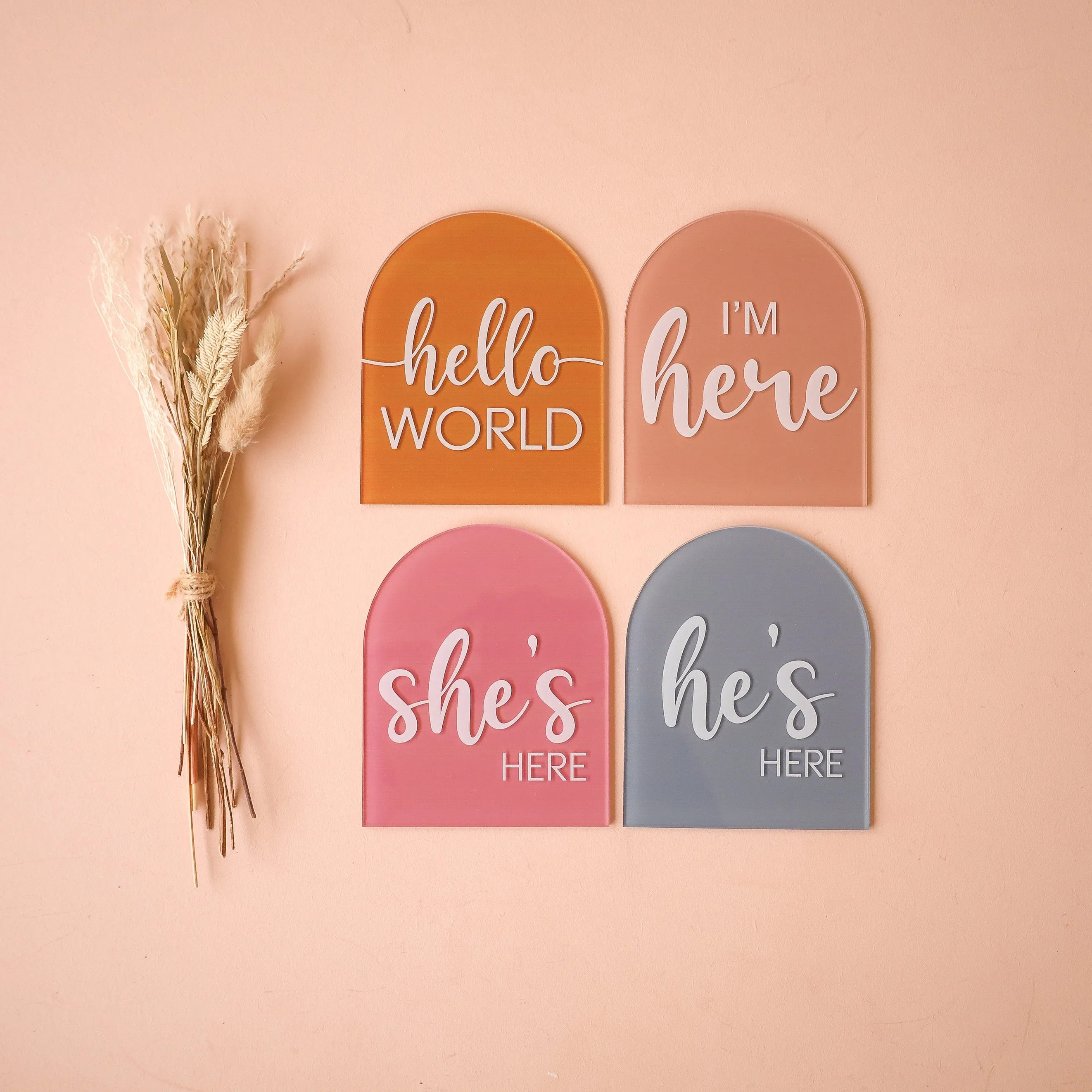 Acrylic Disc - She/He/I'm Here