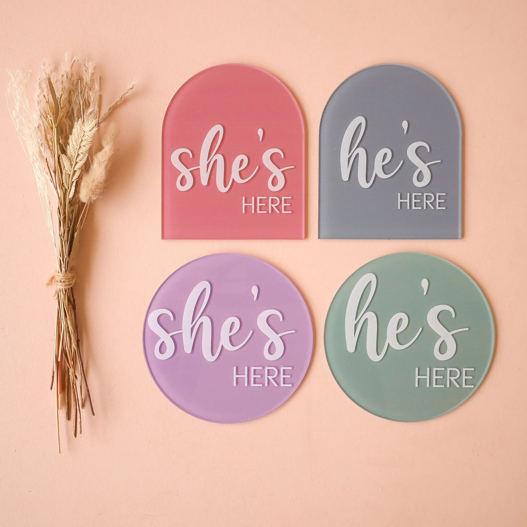 Acrylic Disc - She/He/I'm Here