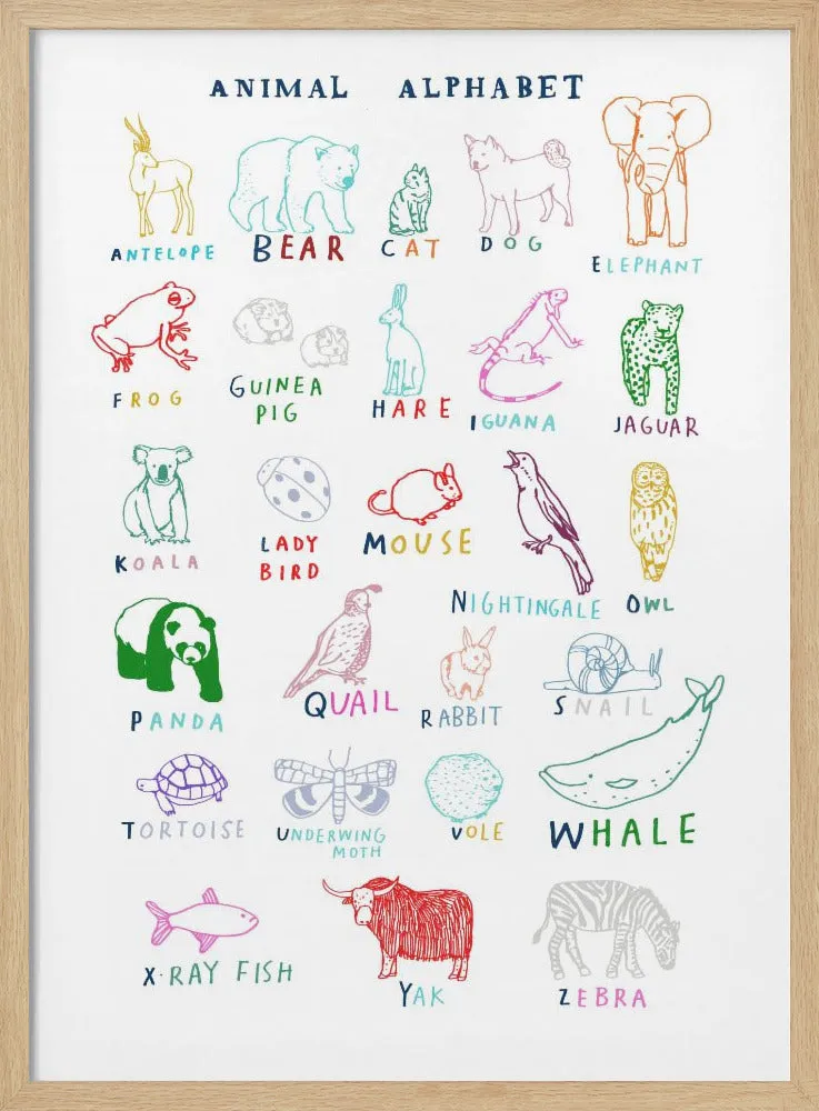 Animal Alphabet , By Hanna Melin